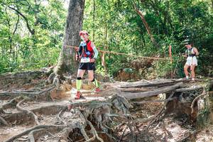 BIB: 
                            <button type="button" onclick="openModal(27721667)" class="btn btn-primary btn-sm float-right btn-popup" data-toggle="modal" data-target=".modal-high-quality">
                        <i class="fas fa-shopping-cart"></i> Add to Cart
                    </button>
                                            <button type="button" onclick="isThisMe(27721667, true)" class="btn btn-success btn-sm float-right btn-popup btn-isme hidden" data-toggle="tooltip" data-placement="bottom" title="นี่คือรูปของคุณใช่ไหม คลิกที่นี่เพื่อเอาเข้าอัลบั้ม">
                        <i class="fas fa-plus"></i> Add to album
                    </button>
                    <button type="button" onclick="isThisMe(27721667, false)" class="btn btn-warning btn-sm float-right btn-popup btn-isnotme hidden">
                        <i class="fas fa-ban"></i> Remove from album
                    </button>